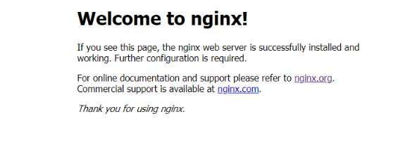安装nginx成功